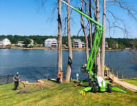 image description not provided by submitter