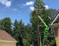 image description not provided by submitter