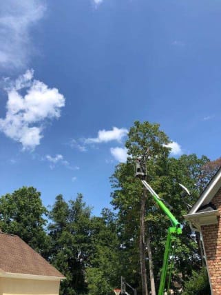 image description not provided by submitter