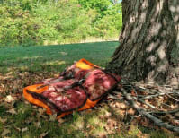 image description not provided by submitter