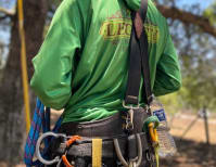 image description not provided by submitter