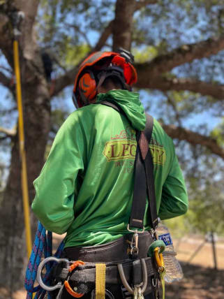 image description not provided by submitter