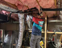 image description not provided by submitter