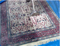 image description not provided by submitter