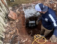 image description not provided by submitter