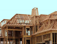 image description not provided by submitter