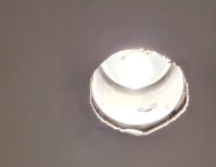 image description not provided by submitter