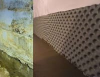 image description not provided by submitter