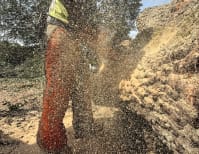 image description not provided by submitter