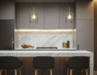 image description not provided by submitter