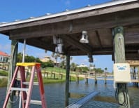 image description not provided by submitter