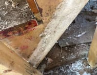 image description not provided by submitter