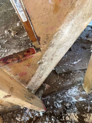 image description not provided by submitter