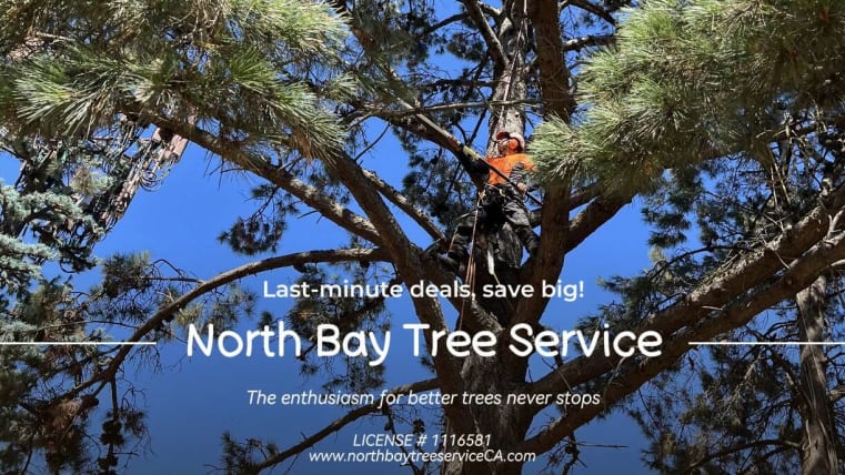 image description not provided by submitter