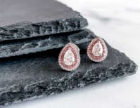 image description not provided by submitter