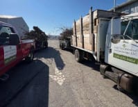 image description not provided by submitter