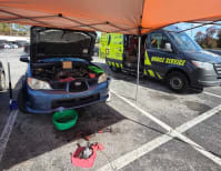 image description not provided by submitter