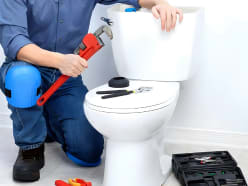 image description not provided by submitter