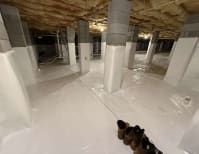 image description not provided by submitter