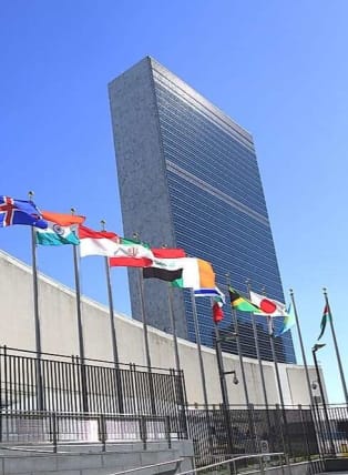 image description not provided by submitter