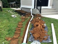 image description not provided by submitter