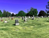 image description not provided by submitter