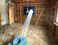 image description not provided by submitter