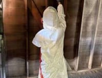 image description not provided by submitter