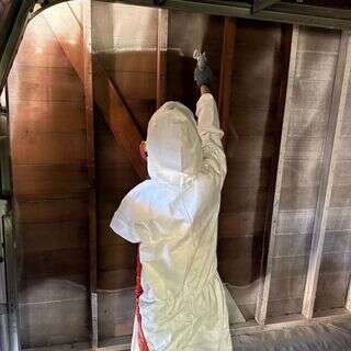 image description not provided by submitter