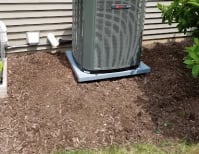 image description not provided by submitter