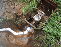 image description not provided by submitter