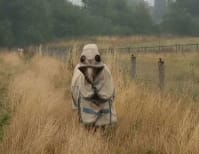 image description not provided by submitter