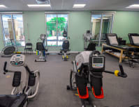 image description not provided by submitter