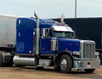 image description not provided by submitter