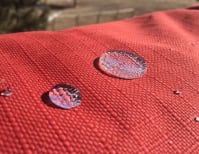 image description not provided by submitter