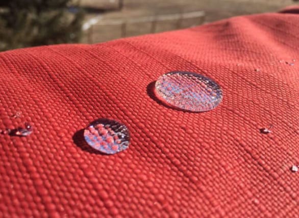 image description not provided by submitter