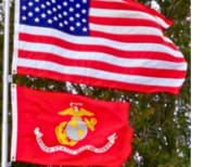 image description not provided by submitter