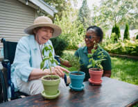 image description not provided by submitter