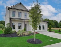 image description not provided by submitter