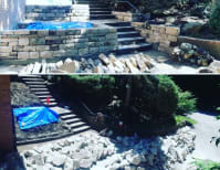 image description not provided by submitter