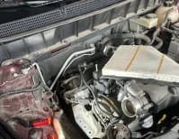 image description not provided by submitter