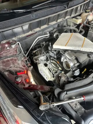 image description not provided by submitter