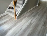 image description not provided by submitter