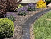 image description not provided by submitter