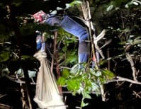 image description not provided by submitter