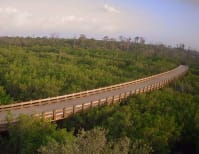 image description not provided by submitter