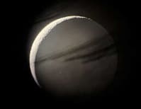 image description not provided by submitter