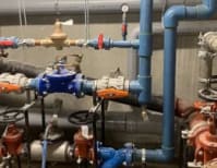 image description not provided by submitter