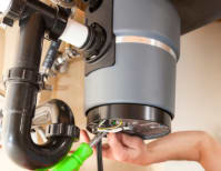 image description not provided by submitter