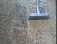 image description not provided by submitter